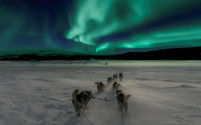 Un equipo de perros de trineo tira de un trineo a través de un vasto paisaje nevado bajo la verde aurora boreal.