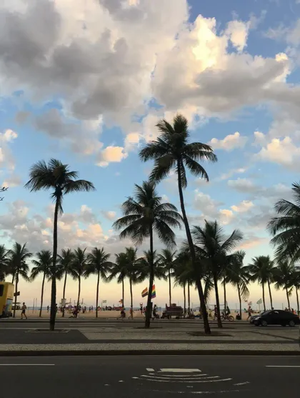 Une rangée de grands palmiers borde une plage de sable près d'une rue, avec des gens et un drapeau de la Fierté visibles sous un ciel nuageux.