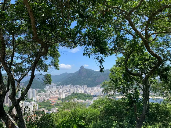 Une vaste ville au pied de montagnes verdoyantes, vue à travers un cadre de branches d'arbres sur un ciel bleu.