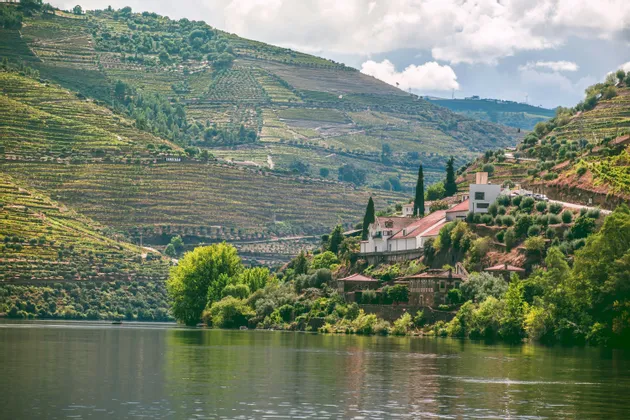 Una vista su un ampio fiume verso ripidi pendii terrazzati coperti di vigneti e punteggiati da piccole case