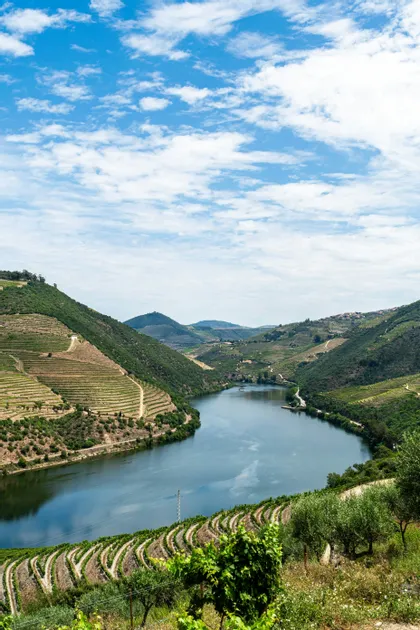 Un ampio fiume scorre attraverso una valle circondata da ripide colline verdi con vigneti a terrazze sotto un cielo azzurro nuvoloso.