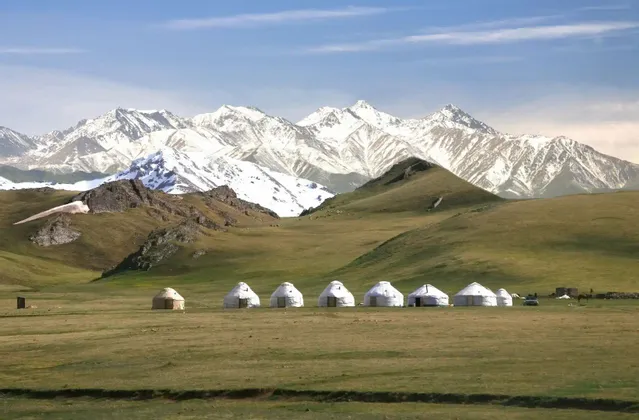 Varias yurtas se encuentran en una extensa llanura verde, con colinas onduladas y una vasta cordillera nevada al fondo.
