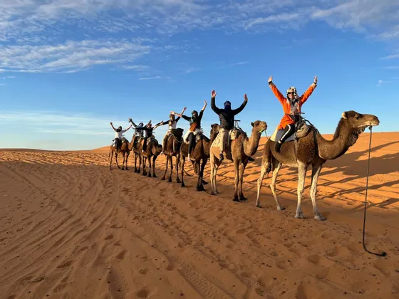 Un viaje en grupo de WeRoad montando camellos en fila india a través de dunas de arena naranja bajo un cielo azul.