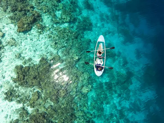 Vista aerea di due persone che remano in un kayak trasparente su una barriera corallina in acqua cristallina turchese.