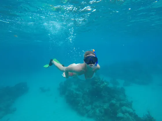 Eine Frau mit Schnorchelmaske und Flossen schwimmt unter Wasser in klarem blauen Wasser über einem Korallenriff.