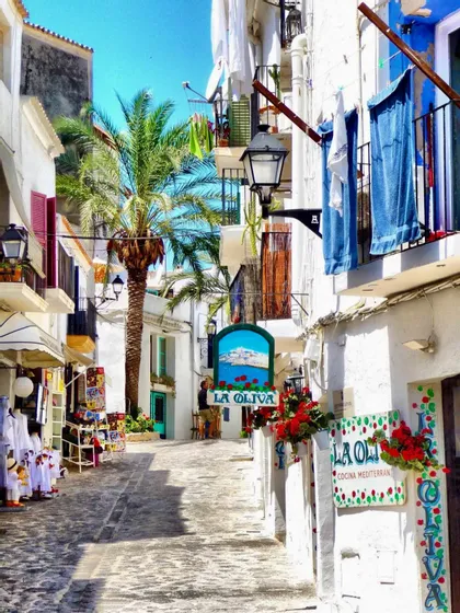 Uno stretto vicolo acciottolato fiancheggiato da edifici imbiancati, un'alta palma e negozi sotto un cielo azzurro brillante.