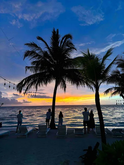 Un viaggio di gruppo WeRoad in silhouette su una spiaggia con palme, mentre si osserva un tramonto colorato sull'oceano.