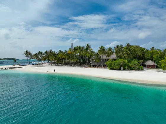 Una vista aerea di una spiaggia tropicale con sabbia bianca, palme e acqua turchese, con due persone che camminano lungo la riva.