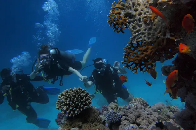 Un viaggio di gruppo WeRoad per immersioni subacquee, in posa per una foto vicino a una barriera corallina con pesci arancioni.