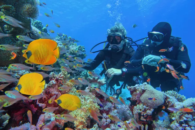 Due membri del gruppo WeRoad che fanno immersioni subacquee in una colorata barriera corallina, ricca di pesci farfalla gialli e altri piccoli pesci.