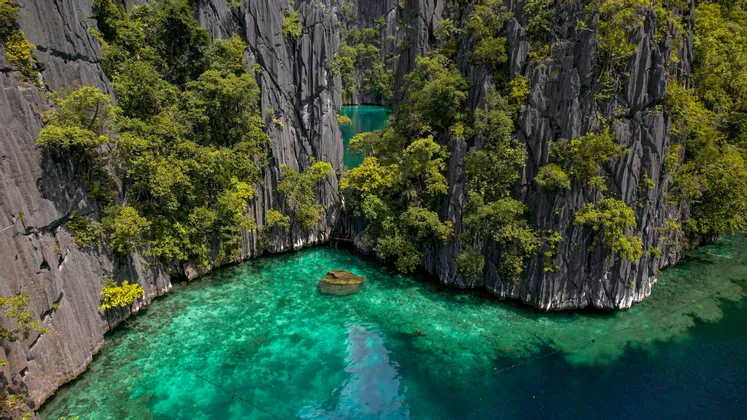 Una vista aerea di una caletta appartata con acqua cristallina e turchese, circondata da imponenti scogliere rocciose ricoperte di alberi.