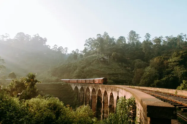 Un treno rosso attraversa un ponte di pietra a più arcate, circondato da una foresta lussureggiante, verde e nebbiosa.