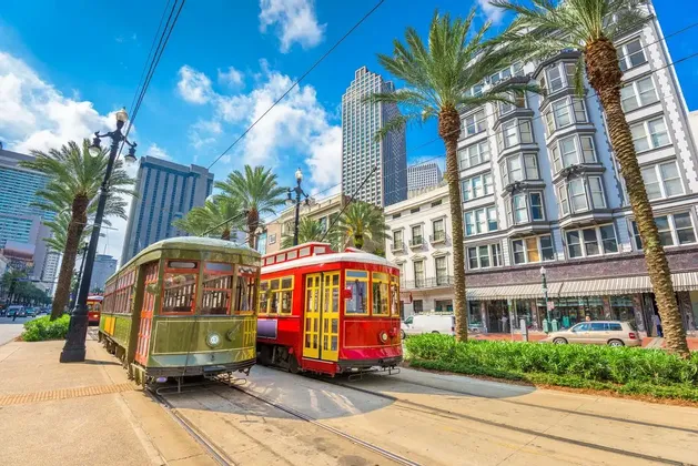Due tram, uno rosso e uno verde, sui binari lungo una strada cittadina fiancheggiata da palme ed edifici sotto un cielo blu.