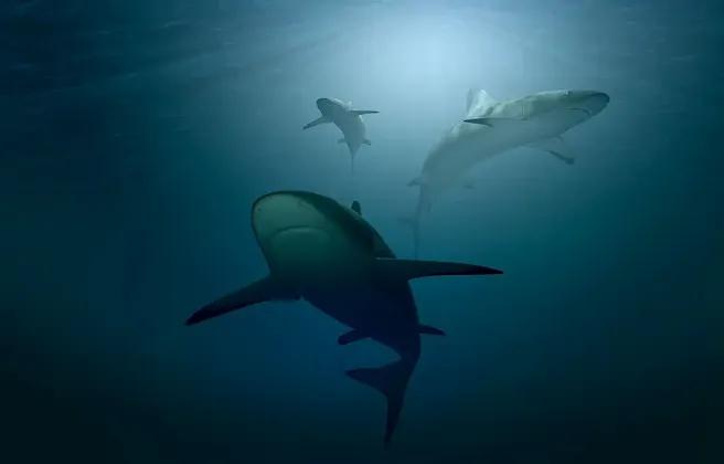 Drei Haie schwimmen im tiefblauen Meer, beleuchtet von Sonnenstrahlen von der Wasseroberfläche.