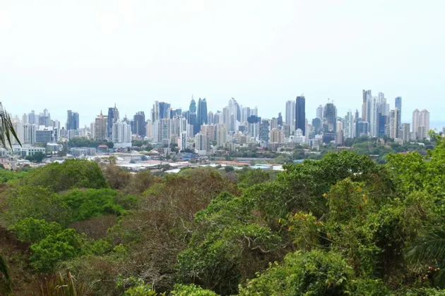 Une vue panoramique d'une ligne d'horizon urbaine moderne avec de nombreux gratte-ciel s'élevant derrière une forêt dense et verte.