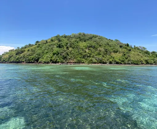 Un'isola lussureggiante e ricoperta di alberi, vista attraverso acque limpide e turchesi sotto un cielo azzurro brillante.