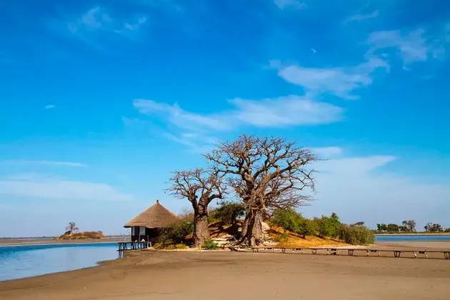 Eine reetgedeckte Hütte steht neben zwei großen Baobab-Bäumen an einem sandigen Flussufer unter einem strahlend blauen Himmel.