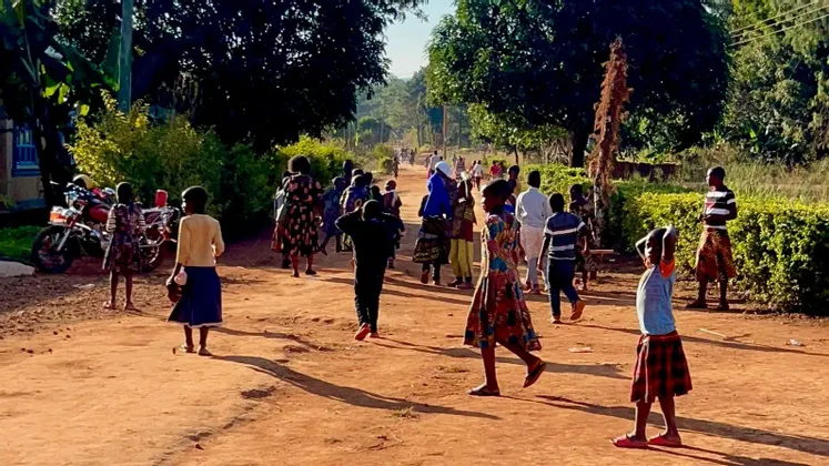 Un folto gruppo di adulti e bambini cammina lungo un'ampia strada sterrata fiancheggiata da alberi verdi e lussureggianti durante il giorno.