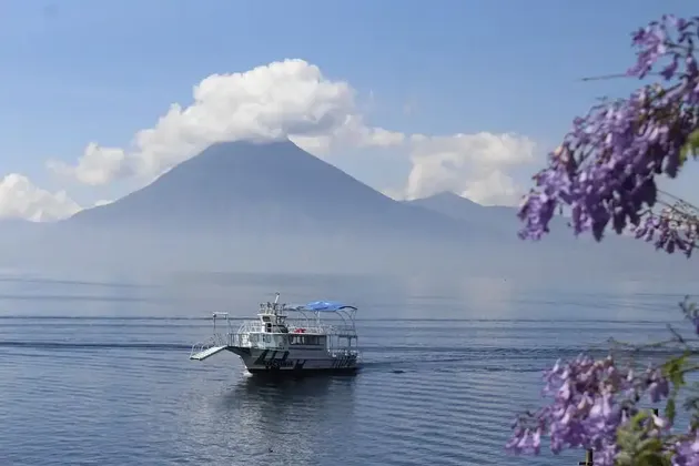 Un battello turistico bianco naviga su un lago con una grande montagna sullo sfondo, incorniciato da fiori viola.