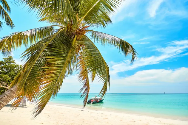 Eine Palme neigt sich über einen weißen Sandstrand, ein Boot liegt im türkisfarbenen Wasser unter einem blauen Himmel mit leichten Wolken.