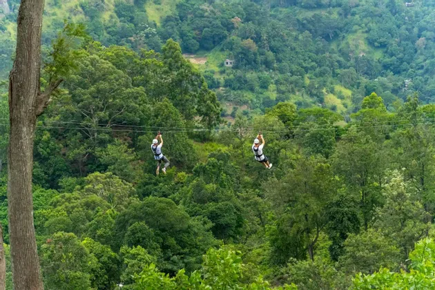 Zwei Personen mit Helmen und Gurten seilrutschen auf parallelen Bahnen hoch über einem dichten, grünen Wald.