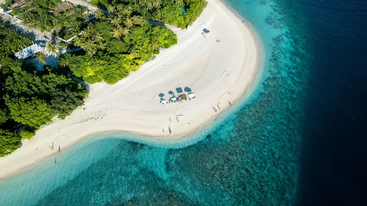 Vue aérienne d'une plage tropicale de sable blanc avec des palmiers, des parasols et des personnes profitant de l'eau turquoise claire.