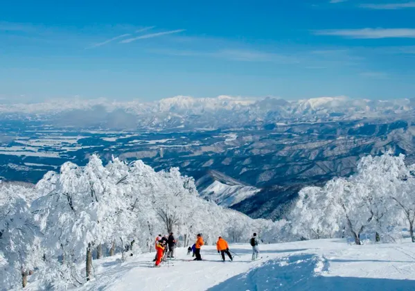 Un gruppo WeRoad in tenuta da sci su un pendio innevato, con vista su una vasta catena montuosa e alberi innevati.