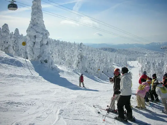 Un viaggio di gruppo WeRoad di sciatori su una pista innevata, con alberi coperti di neve e una funivia sotto un cielo azzurro.