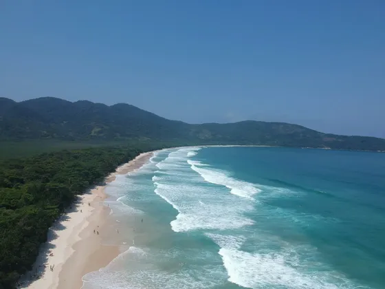 An aerial view of a long sandy beach with turquoise waves, backed by a dense forest and mountains under a clear sky.