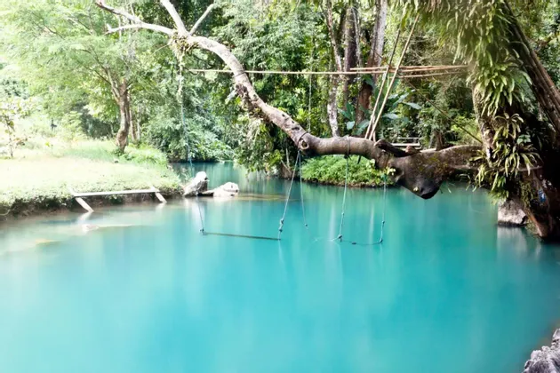 Seilschaukeln hängen von einem großen Ast über einer türkisfarbenen Lagune, umgeben von einem üppig grünen Wald.