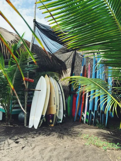 Eine Sammlung bunter Surfbretter lehnt an einem Gestell an einem Sandstrand, umrahmt von grünen Palmenblättern.