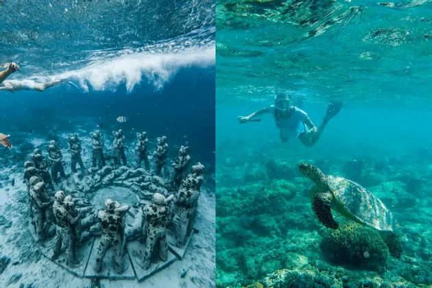 Ein Diptychon von Unterwasserszenen: links schwimmt eine Person über kreisförmige Statuen, rechts schnorchelt eine Person nahe einer Meeresschildkröte.