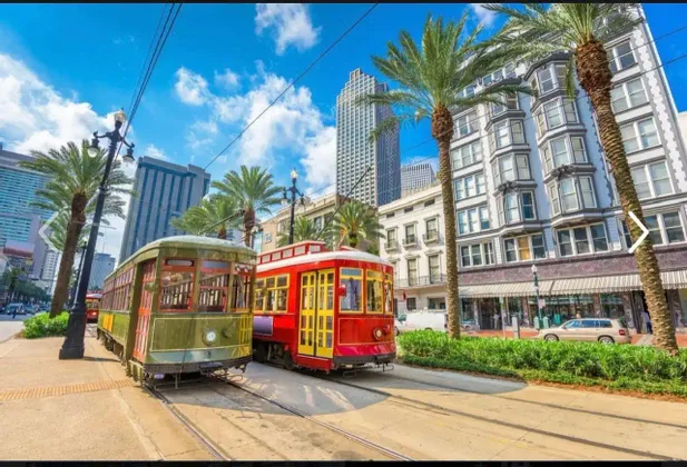 A red and a green streetcar on city tracks, flanked by palm trees and buildings under a blue sky.