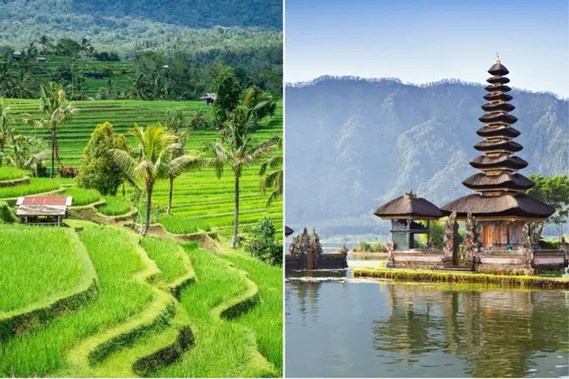 Ein geteiltes Bild, das links grüne Reisterrassen und rechts einen traditionellen, mehrstufigen Tempel an einem See zeigt.