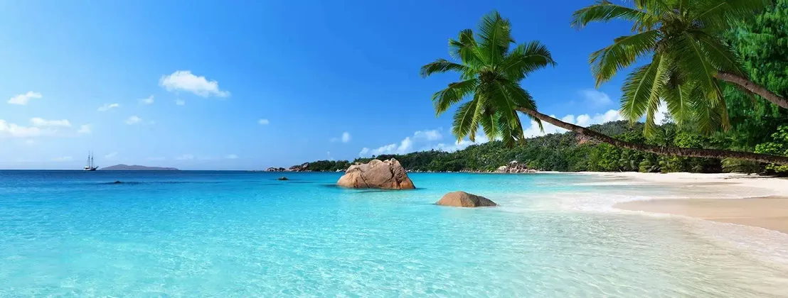 Una scena di spiaggia tropicale con una palma che si protende su acque limpide color turchese, una riva di sabbia bianca e grandi rocce sotto un cielo blu.