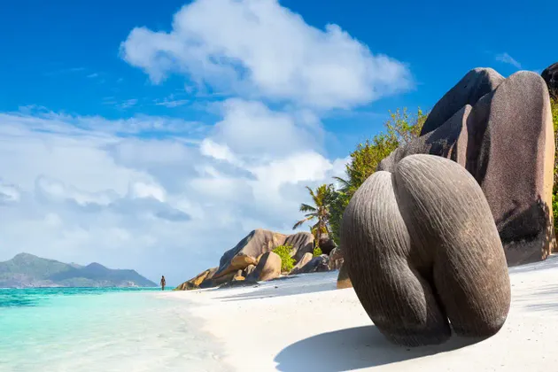 Un seme di Coco de Mer adagiato su una spiaggia di sabbia bianca con acqua turchese, palme e massi di granito sotto un cielo blu
