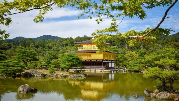 Un templo dorado se refleja en un estanque, rodeado por un jardín japonés con pinos y una colina boscosa.