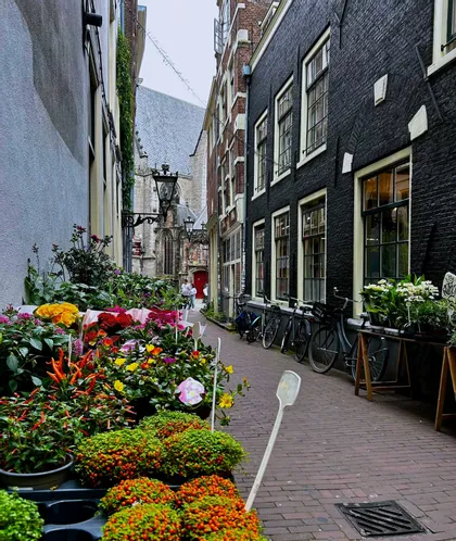 Fleurs et plantes colorées à vendre dans une étroite ruelle pavée bordée de bâtiments historiques et de vélos garés.