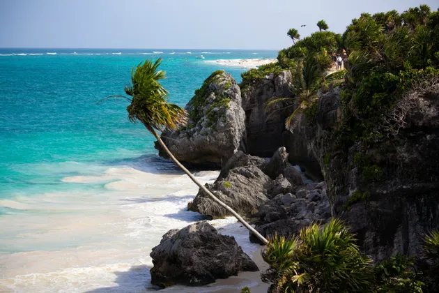 Eine Palme neigt sich von einer felsigen, grünen Klippe über einen weißen Sandstrand mit türkisfarbenem Wasser.
