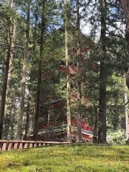 Una pagoda rossa e alta è parzialmente nascosta dai tronchi di numerosi alberi in una fitta foresta, con una staccionata di legno in primo piano.