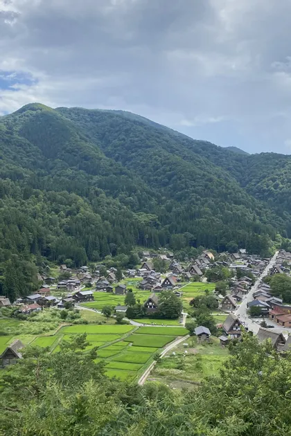 Una vista dall'alto di un villaggio con case tradizionali e risaie verdi ai piedi di una montagna boscosa.