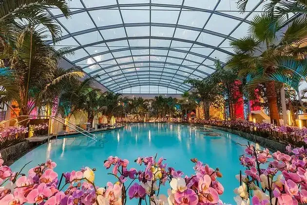 Una grande piscina interna è circondata da palme e orchidee rosa, il tutto sotto un tetto di vetro ad arco al tramonto.