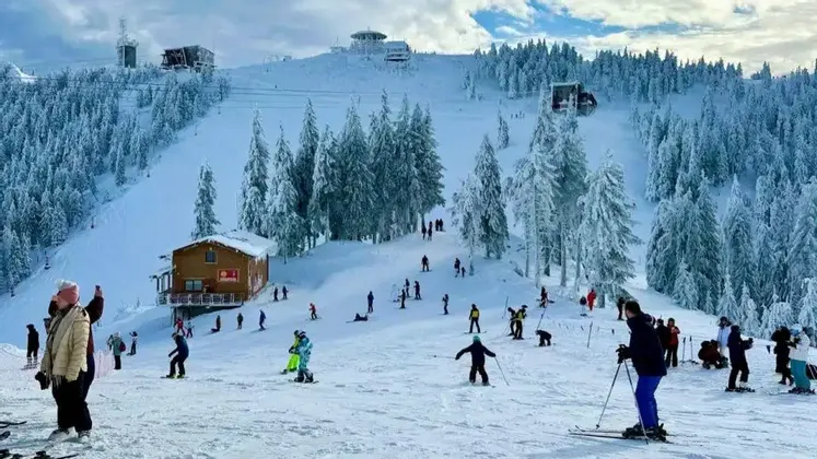Un viaggio di gruppo WeRoad per sciare e fare snowboard su una pista affollata circondata da pini innevati.