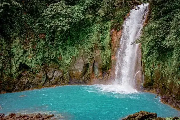 Una cascata scende da una scogliera rocciosa coperta di vegetazione verde in una pozza d'acqua turchese brillante.