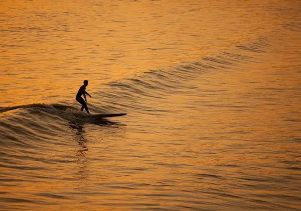 Un surfista si staglia in controluce sull'acqua dorata mentre cavalca un'onda al tramonto.