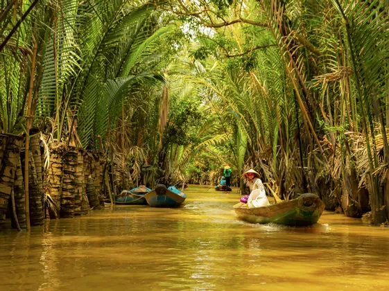 Un viaggio di gruppo WeRoad remando su piccole barche di legno lungo un fiume stretto, circondato da palme lussureggianti.