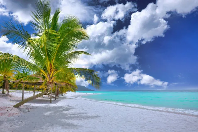 Palme costeggiano una spiaggia di sabbia bianca con mare turchese sotto un cielo azzurro parzialmente nuvoloso.
