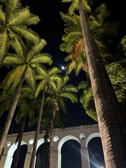 Una veduta dal basso di alte palme e un acquedotto bianco ad arco illuminati contro un cielo notturno scuro con una luna luminosa.