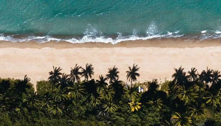 Eine Luftaufnahme: Türkise Wellen spülen an einen Sandstrand, der von einer Reihe grüner Palmen gesäumt wird.
