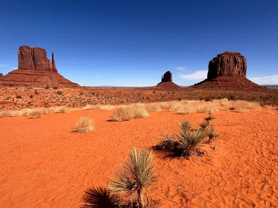 Un paesaggio desertico con sabbia rossa e arbusti secchi, con tre grandi formazioni rocciose di arenaria sullo sfondo sotto un cielo azzurro limpido.